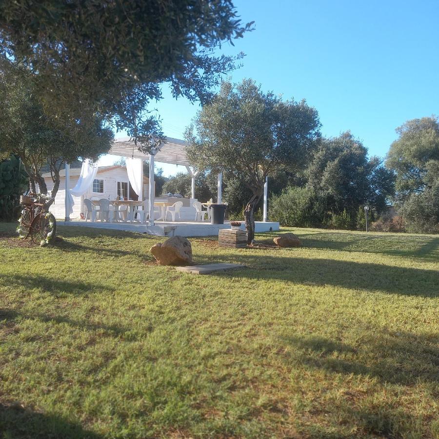 B&B Gli Ulivi Сант'Анна-Аррезі Екстер'єр фото